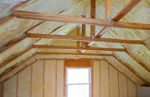 Best Insulation Removal  in Mount Vernon, IA